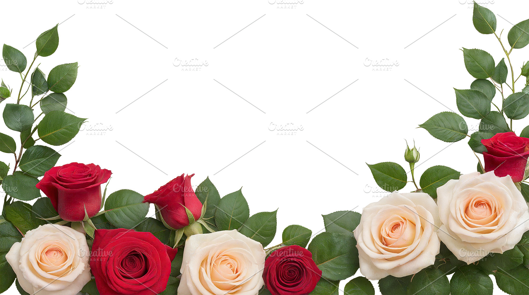 rose flowers transparent background, a Nature Photo by itakdalee