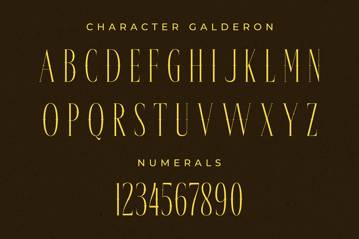 Galderon A Display Serif Font, a Serif Font by Storytype Studio (Photo 13 of 15)