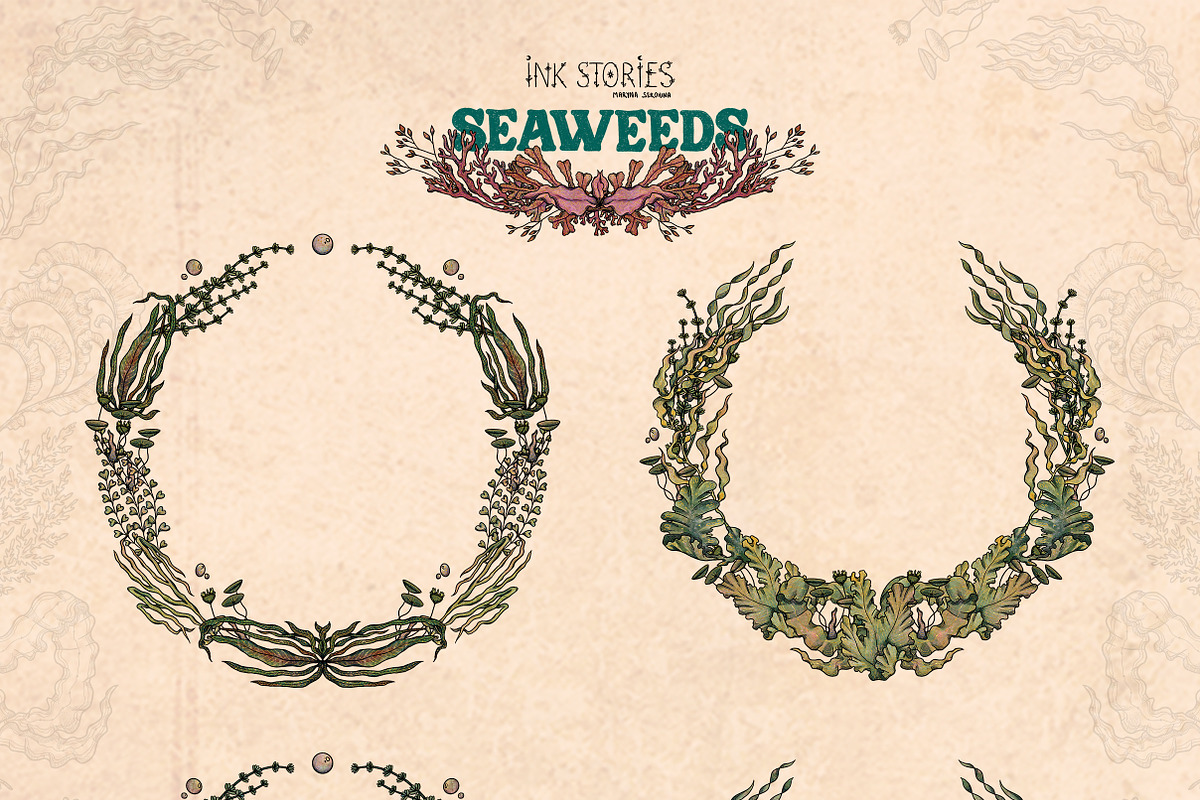 Seaweeds, an Object Illustration by Ink Stories (Photo 9 of 24)
