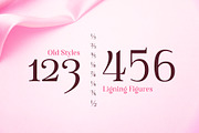 Famosa - Font Family, a Serif Font by TypeThis!Studio (Thumbnail 9 of 11)