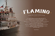 Penina - Serif Classic, a Serif Font by Khoir (Thumbnail 6 of 11)