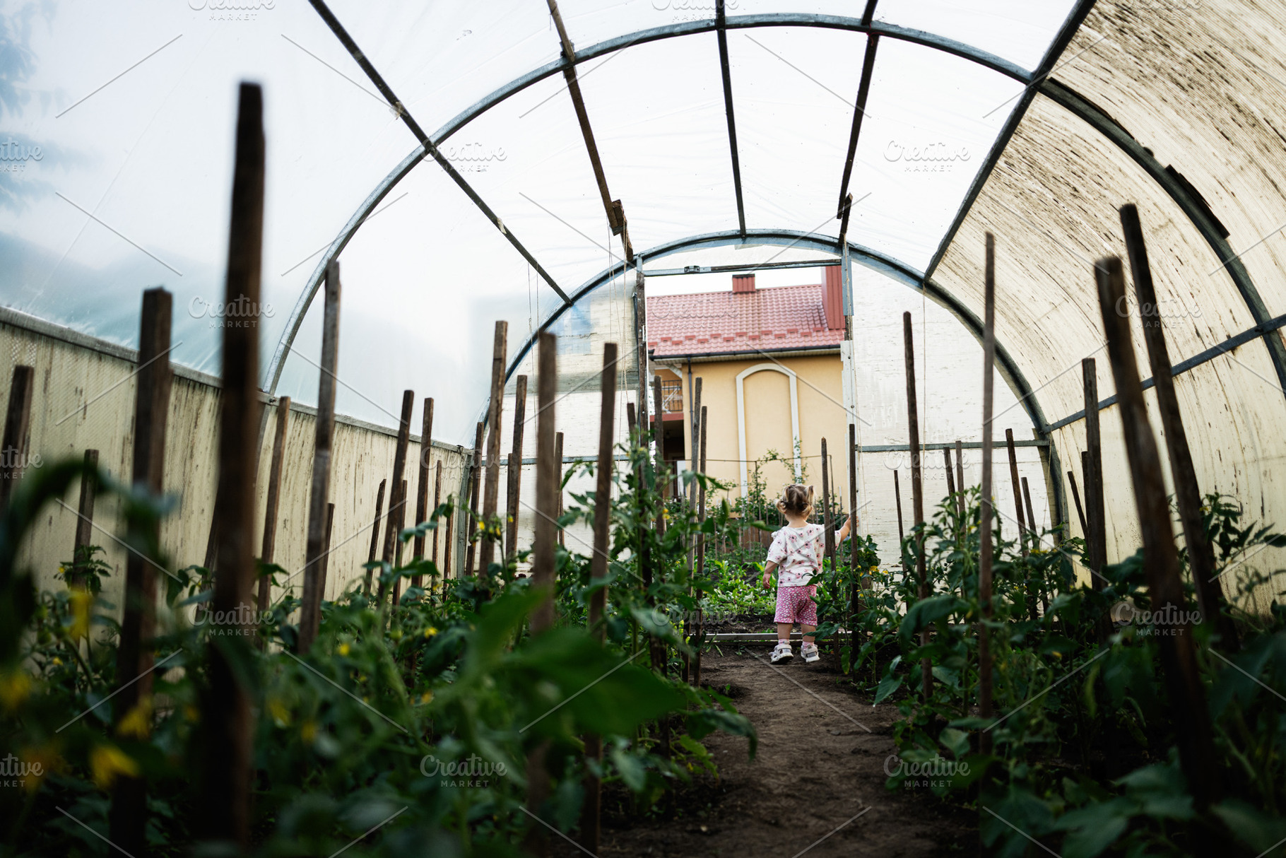 Child exploring a lush greenhouse garden filled with plants and growth, a Person Photo by AS photostudio