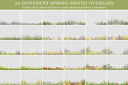 Spring Meadow photo overlays, a Layer Style Add-On by BrownLeopard (Thumbnail 2 of 5)