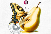 Vibrant Butterfly and Fruit Cliparts, an Animal Illustration by ThatsDesignArt (Thumbnail 7 of 10)