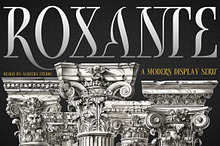 Roxante - Modern Serif Font