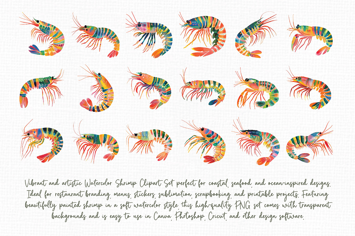 Watercolor Shrimp Clipart Set, an Illustration by Libby Wishes (Photo 8 of 8)