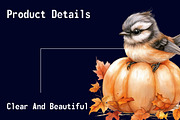 Cute Autumn Jay Sublimation Clipart, an Illustration by CitraGraphics (Thumbnail 6 of 6)
