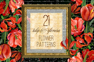 Tulip & gloriosa watercolor patterns
