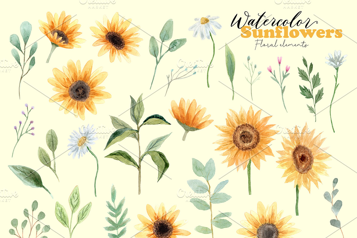 Sunflowers Watercolor Collection, a Decorative Illustration by Slastick (Photo 2 of 8)
