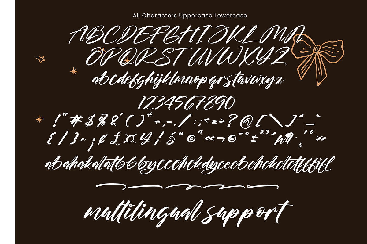 Stamlosee, a Script Font by operatype.co (Photo 8 of 8)