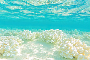 Pristine turquoise ocean waters with, a Nature Photo by Lermont51