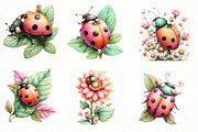 Whimsical Summer Ladybug Clipart, an Illustration by Designworld (Thumbnail 2 of 8)