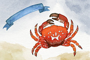 Beach Party Watercolor Set, a Texture Illustration by paperlions (Thumbnail 3 of 6)