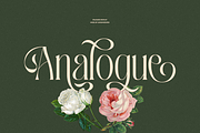 Palisade Display Font, a Serif Font by Sans & Sons (Thumbnail 8 of 10)