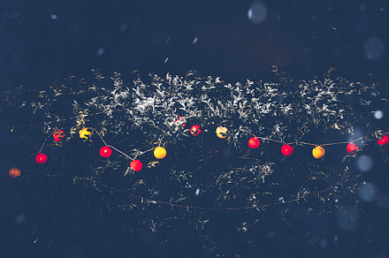 Decoration light background on outdoors tree with heavy snowy wi, a Holiday Photo by Ministocker
