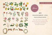 BUNDLE: 600 Academia Ephemera, an Object Graphic by The Object Atlas (Thumbnail 16 of 16)