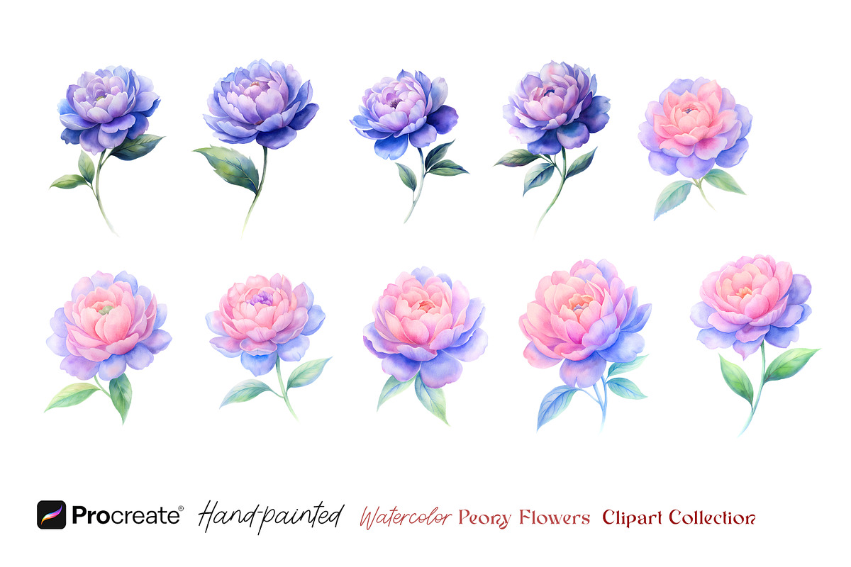 Watercolor Peony Flowers Clipart, an Object Illustration by crafty (Photo 8 of 10)
