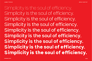 Lumeni Variable Font, a Sans Serif Font by aquene (Thumbnail 3 of 10)