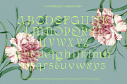 AQREAMIG — Luxury Ligature Serif, a Serif Font by Enxyclo Studio (Thumbnail 18 of 25)