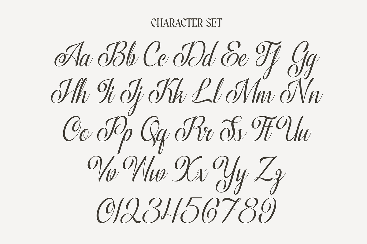 Varenda - Classic Elegant Script, a Script Font by MaikoHatta (Photo 4 of 7)