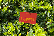 Green Leaf Business Card Mockup, a Mockup by Quirko (Thumbnail 5 of 7)
