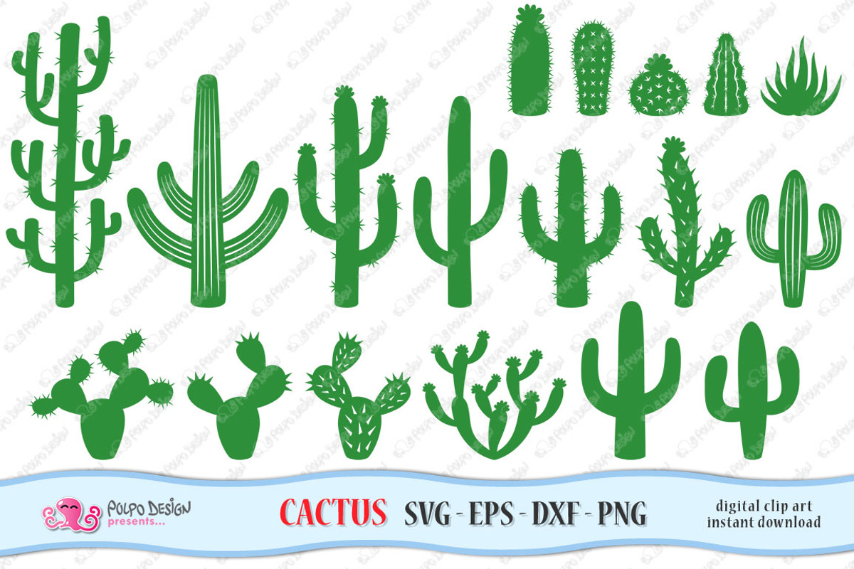 Cactus SVG, an Object Graphic by PolpoDesign (Photo 2 of 4)