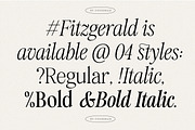 Fitzgerald - Classic Retro Serif, a Serif Font by Harmonais Visual (Thumbnail 4 of 31)