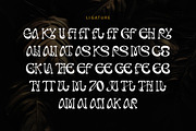 Ranvel, a Serif Font by Letterara (Thumbnail 6 of 11)