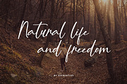 Maya Ophelia Signature Font, a Handwritten Font by UICreative (Thumbnail 3 of 13)