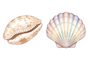 Sea Shells Clipart PNG, an Illustration by SinaCreation (Thumbnail 2 of 11)