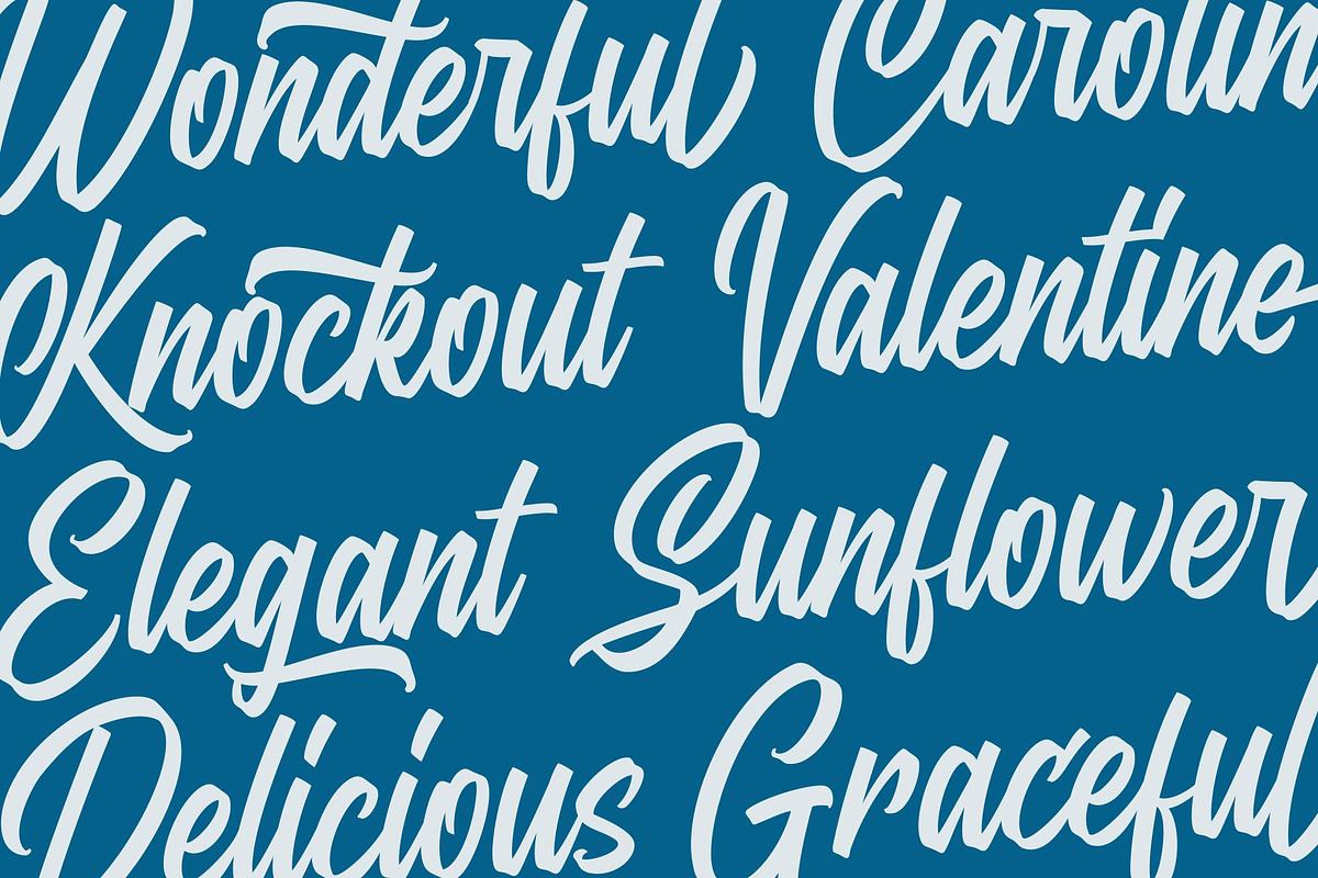 Anguine - Stylish Typeface, a Script Font by GearShift (Photo 2 of 14)