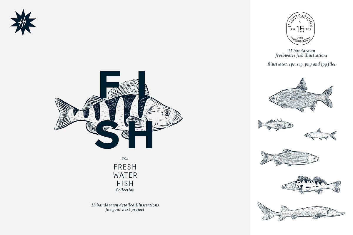 The Freshwater Fish Collection, an Animal Illustration by dicreate (Photo 1 of 6)