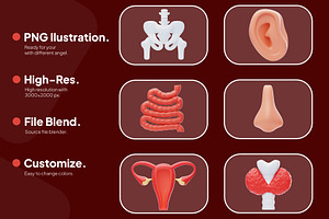 Human Organ Icon Pack