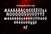 Lunturan, a Font by Differentialtype (Thumbnail 9 of 10)