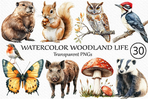 Watercolor Woodland Life Clipart, an Illustration by Craft Nest