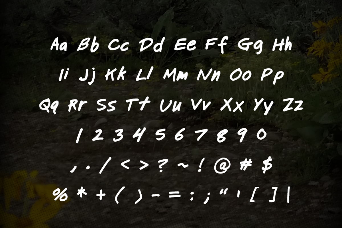 Brush Font Bundle preview 5