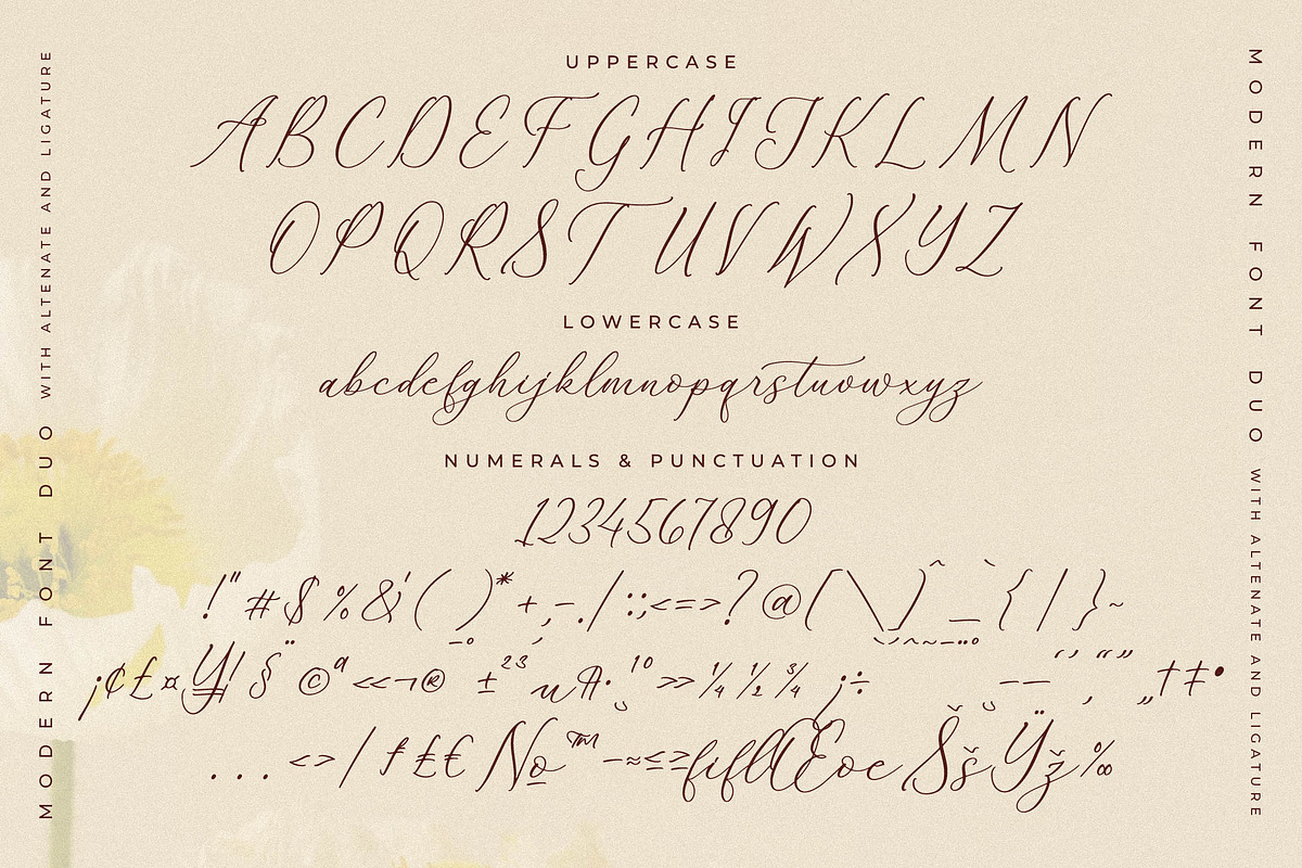 Adoretta Holland Font Duo, a Serif Font by Storytype Studio (Photo 13 of 15)