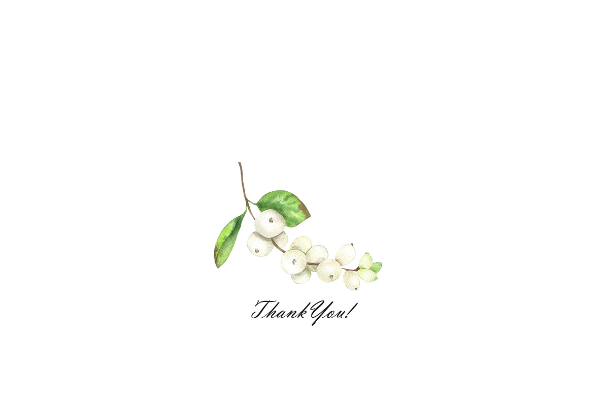 Watercolor snowberry clipart, an Illustration by OlDm_Shop (Photo 11 of 11)