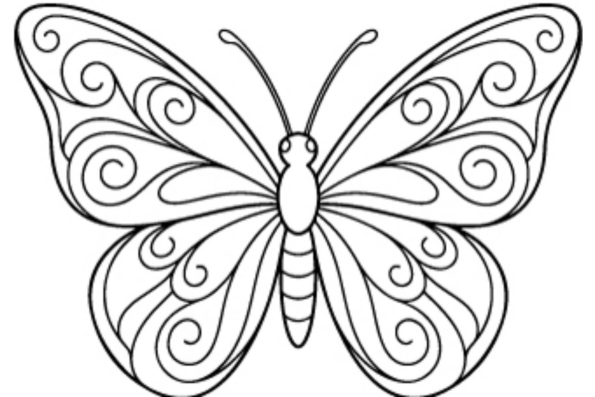 Butterfly SVG Bundle, an Object Graphic by Gfx_Store (Photo 1 of 32)