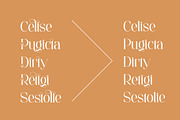 Daeling - Modern Serif Font, a Serif Font by Aqeel_Art (Thumbnail 8 of 12)