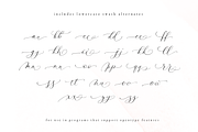 Alysar | Delicate Calligraphy Font, a Script Font by KA Designs (Thumbnail 15 of 24)