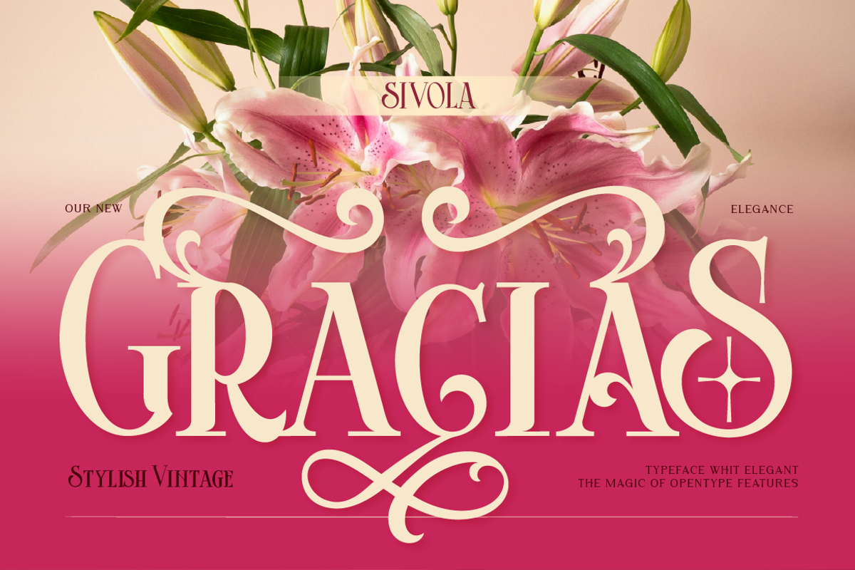Sivola, a Serif Font by Burntilldead (Photo 12 of 12)