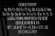 Baquine || Classy Serif Display Font, a Serif Font by Ermedia Studio (Thumbnail 10 of 10)