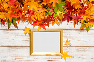 Autumn Leaves And Golden Frame