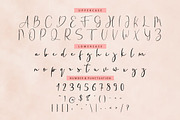 Fanish Elegant Signature Font, a Script Font by PutraCetol Studio (Thumbnail 3 of 11)