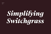 Mixta - Family 50% off, a Serif Font by Latinotype (Thumbnail 13 of 15)