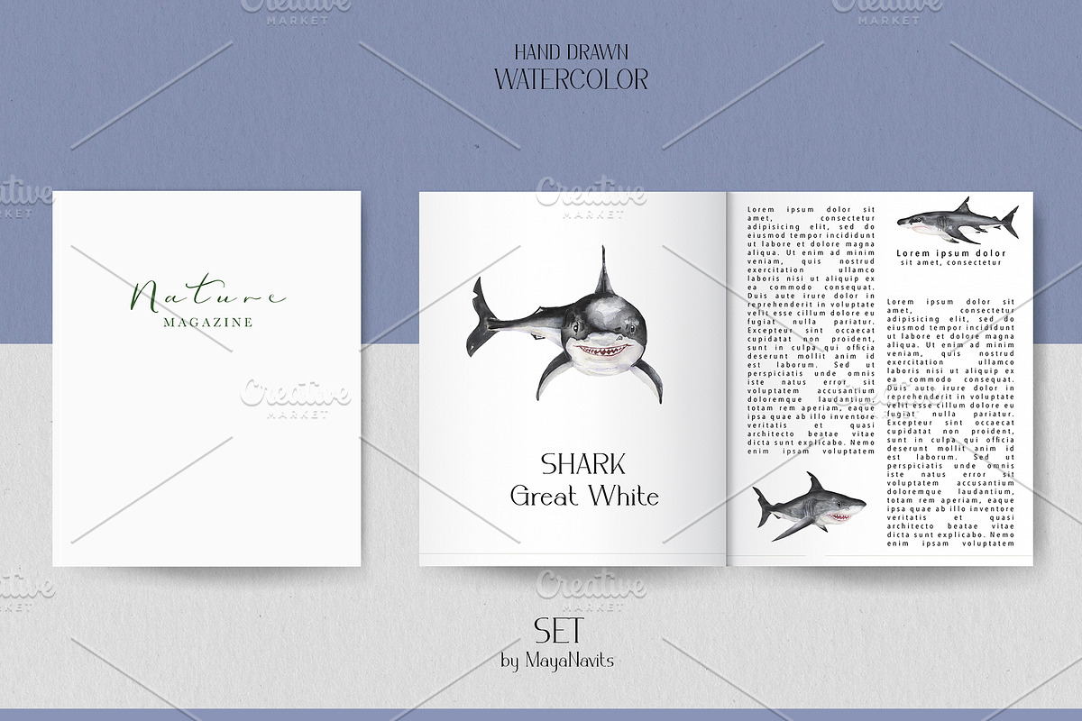 Watercolor Great White Sharks Set, an Animal Illustration by MayaNavits (Photo 4 of 7)