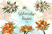 Watercolor flowers set - Lilies, a Texture Illustration by My art shop (Thumbnail 1 of 4)