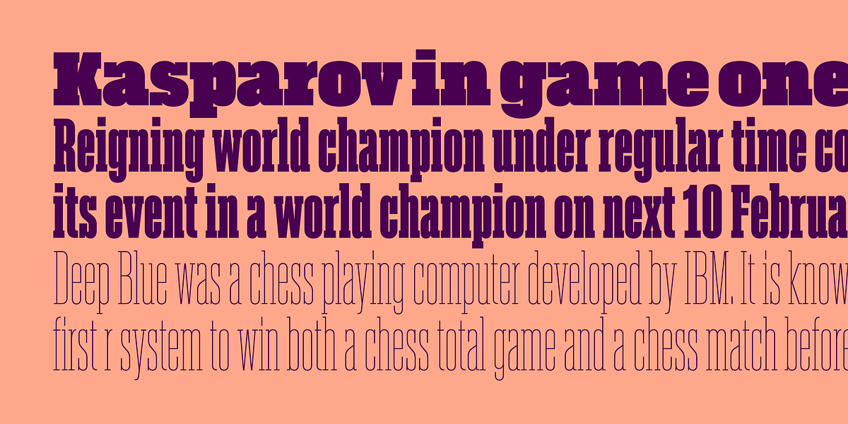 Akkordeon Slab, a Slab Serif Font by Emtype Foundry (Photo 4 of 9)