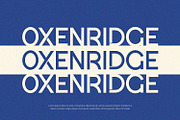 Glacier - Display Font, a Handwritten Font by Alpaprana (Thumbnail 6 of 10)